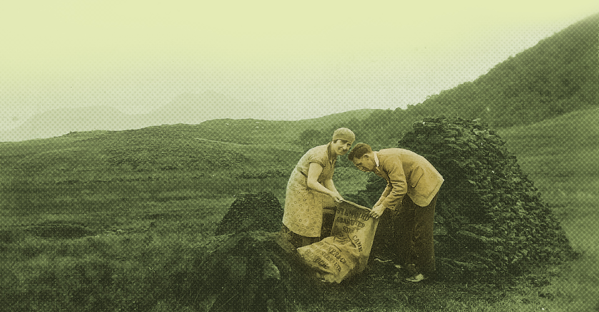 A photograph of a man and woman cutting peat