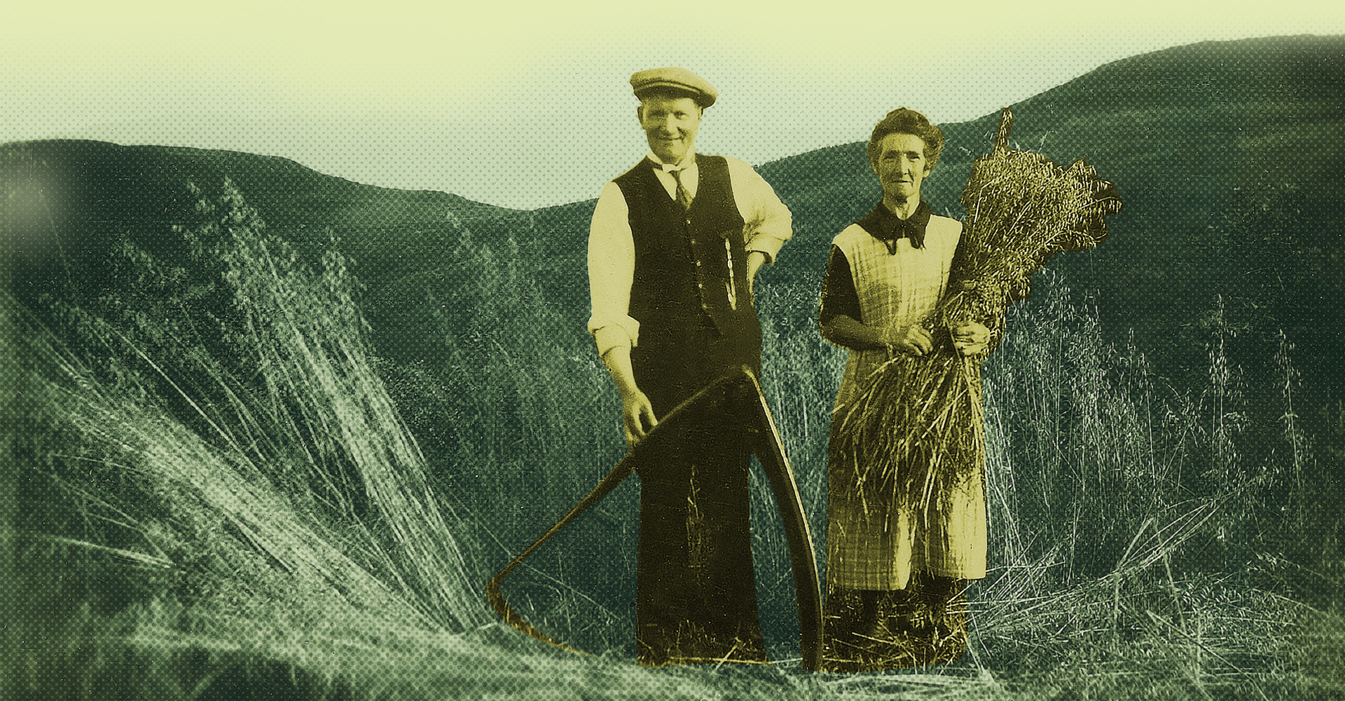 An old photograph of a man & women cutting crops